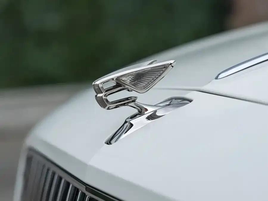 Bentley Flying Spur PHEV Mercedes-Benz Plug-in Hybrid 2022 2.9T V6 Hybrid 2022 — миниатюра 3
