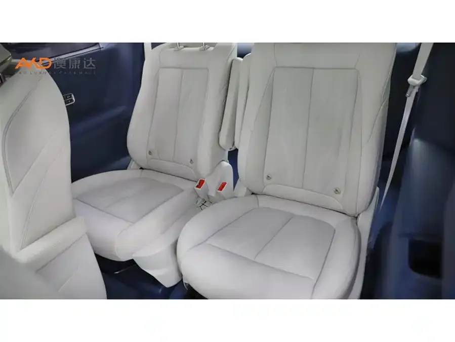 Buick GL8 New Energy 2024 Lu Zun Luxury Edition 6 Seaters 2024 — миниатюра 3