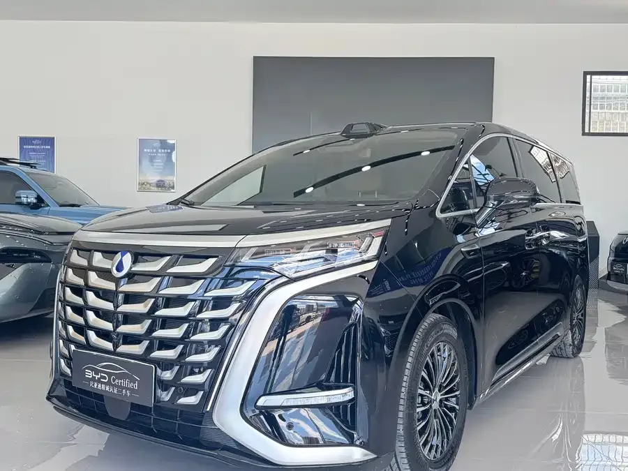 BYD D9 2025