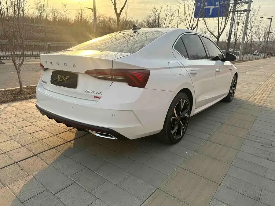 Skoda Octavia Octavia 2022 PRO TSI280 Premium Edition 2022 — миниатюра 3