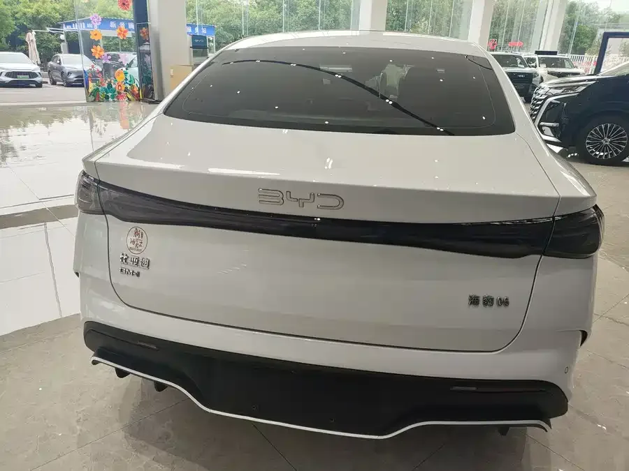BYD Seal 06 Seal 06 2024 DM-i 120KM Premium Edition 2024 — миниатюра 5