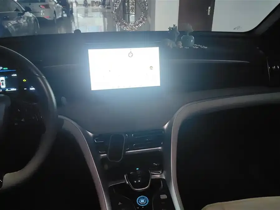 BYD Song Pro New Energy Song Pro New Energy 2024 Honor Edition DM-i 71KM Pilot Edition 2025 — миниатюра 4