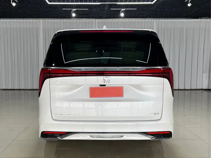 Buick Century Century 2023 2.0T Six-seat Yunshi Edition 2024 — миниатюра 2