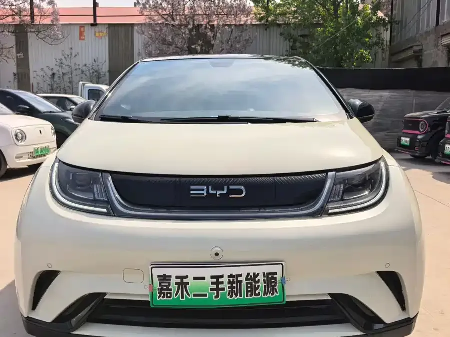 BYD Dolphin 2024