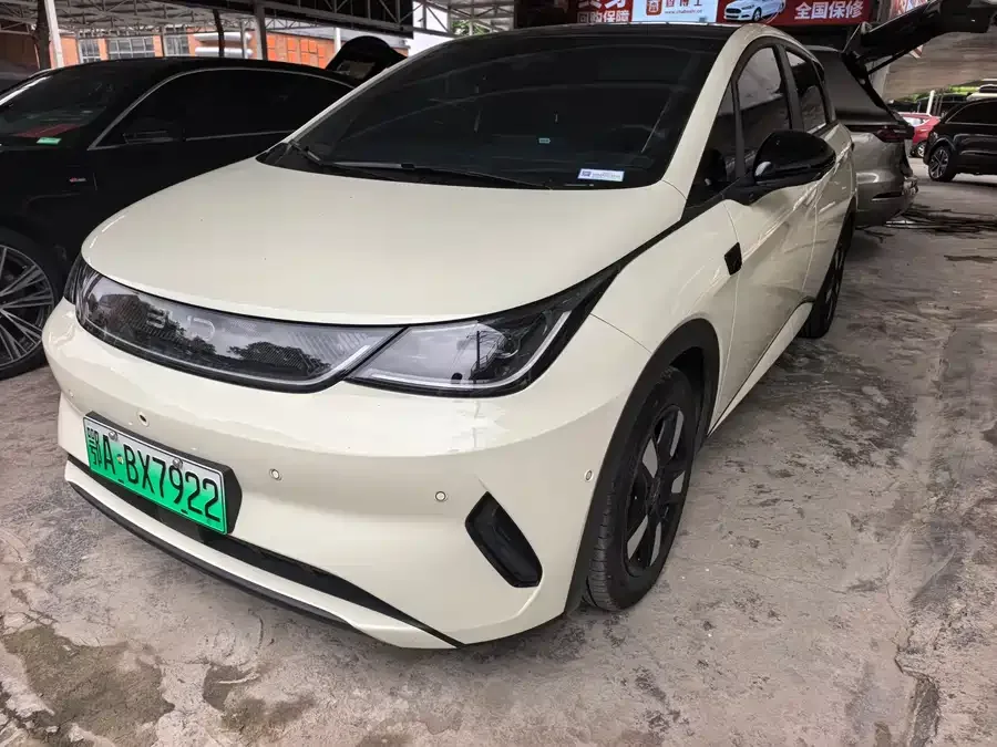 BYD Dolphin 2025
