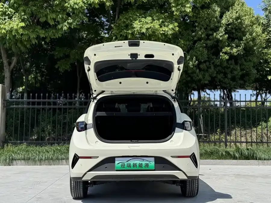 BYD Dolphin Dolphin 2025 Smart Driving Edition 410km Fashion Edition 2025 — миниатюра 2