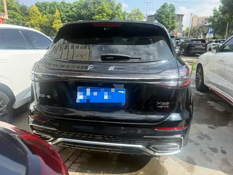 Hongqi HS5 Hongqi HS5 2023 2.0T Qiyue Pro Edition 2024 — миниатюра 3