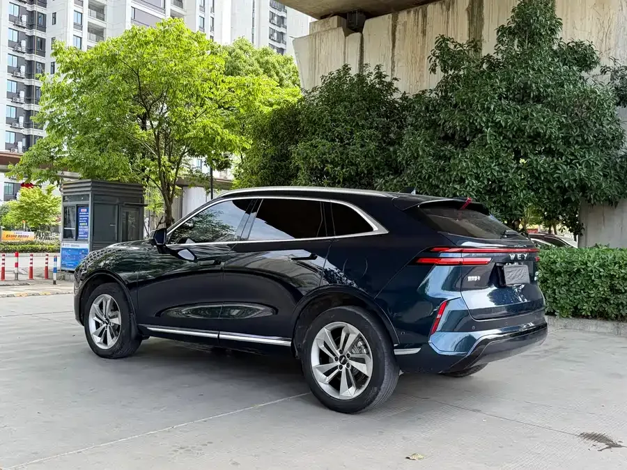 WEY Mocha New Energy Wei Mocha New Energy 2023 Two-wheel Drive Long-range Edition 2023 — миниатюра 3