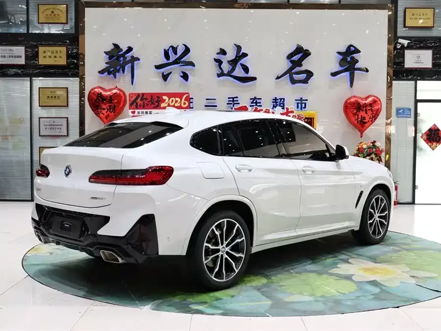 BMW X4 2022 xDrive 30i M Sport Package 2023 — миниатюра 2