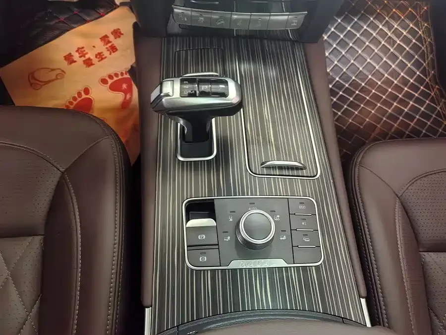 Haval H9 Haval H9 2022 2.0T Gasoline 4WD Luxury 7 Seaters 2022 — миниатюра 4