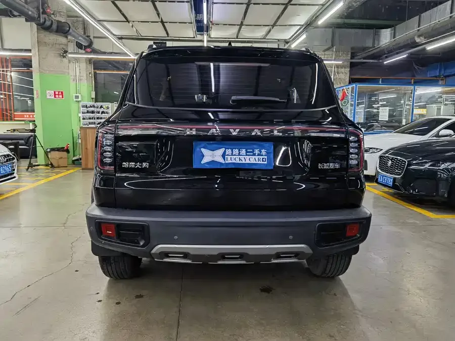 Haval Big dog Haval Big Dog 2024 1.5T DCT Border Collie Edition 2024 — миниатюра 2