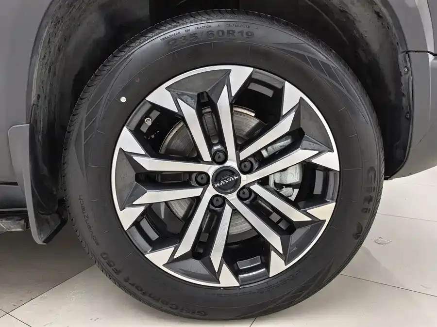 Haval Big dog Haval Big Dog 2024 1.5T DCT Border Collie Edition 2024 — миниатюра 5