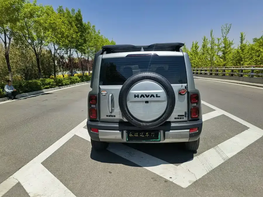 Haval Raptors New Energy Haval Raptors New Energy 2023 Hi4 145 Exploration Edition 2024 — миниатюра 5