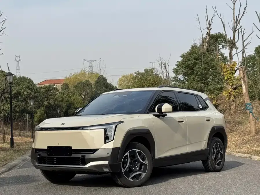 Dongfeng Nano 06 2025