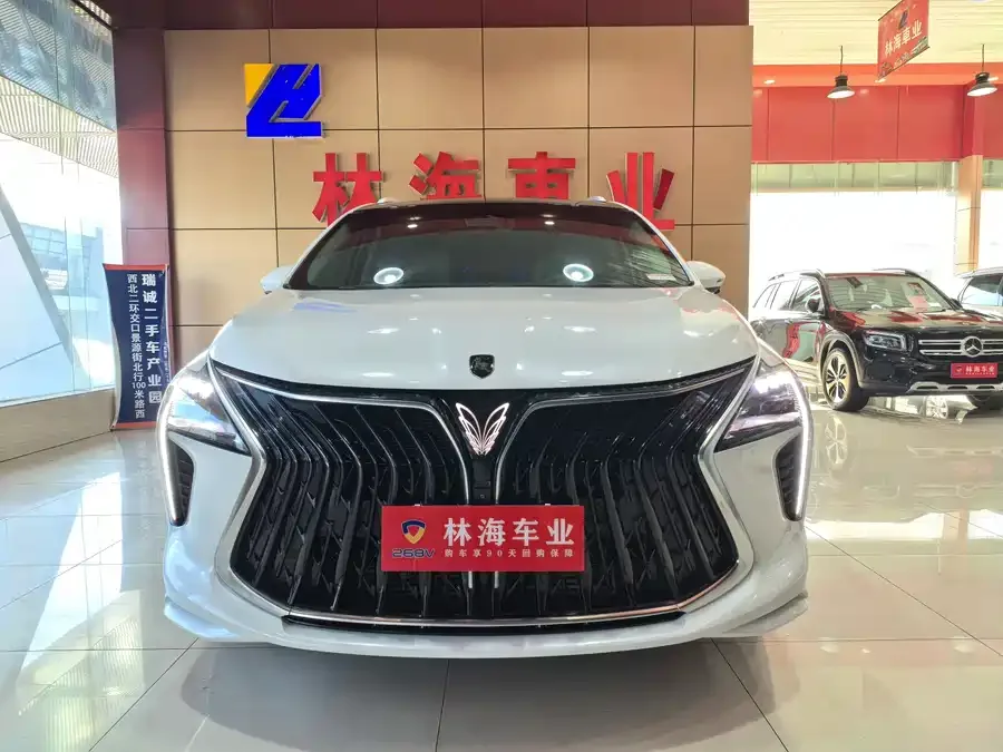 Dongfeng popular yachts 2024