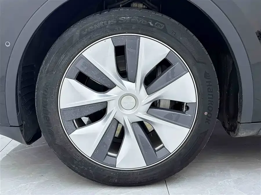 Tesla Model Y Model Y 2023 long-range all-wheel drive version 2023 — миниатюра 3