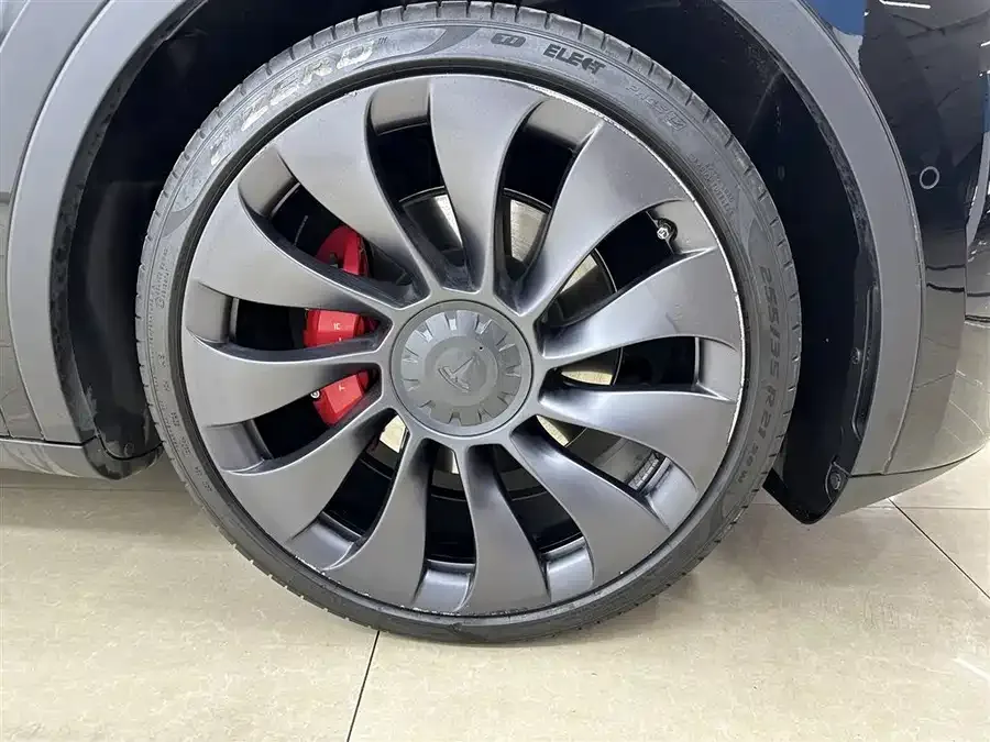 Tesla Model Y Model Y 2023 high-performance all-wheel drive version 2023 — миниатюра 3