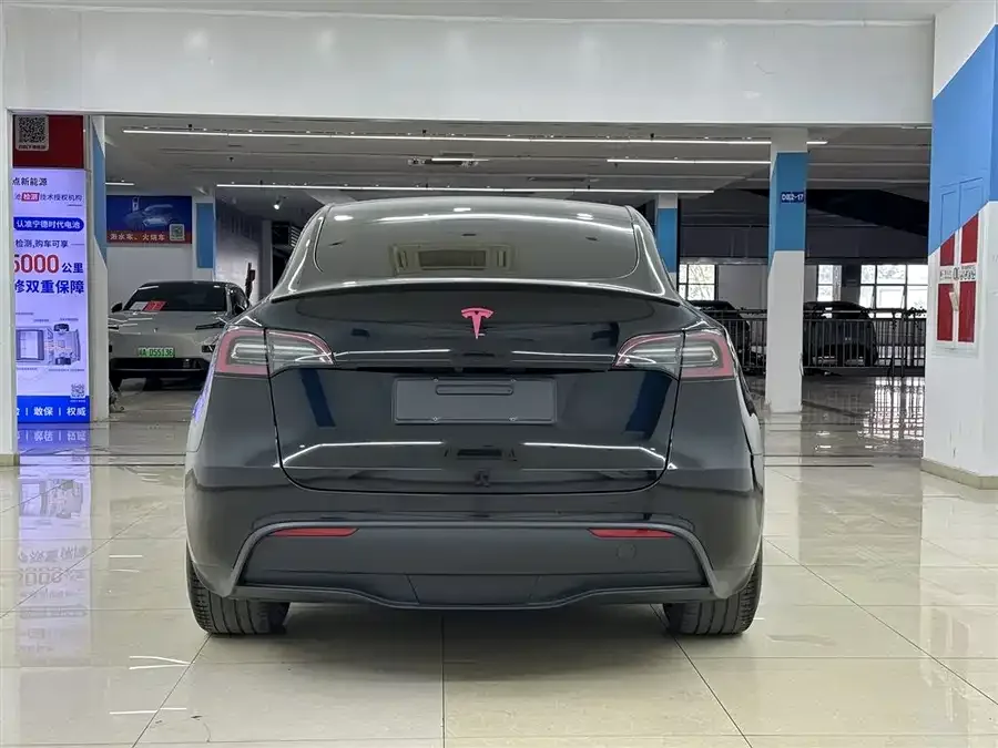 Tesla Model Y Model Y 2023 high-performance all-wheel drive version 2023 — миниатюра 5