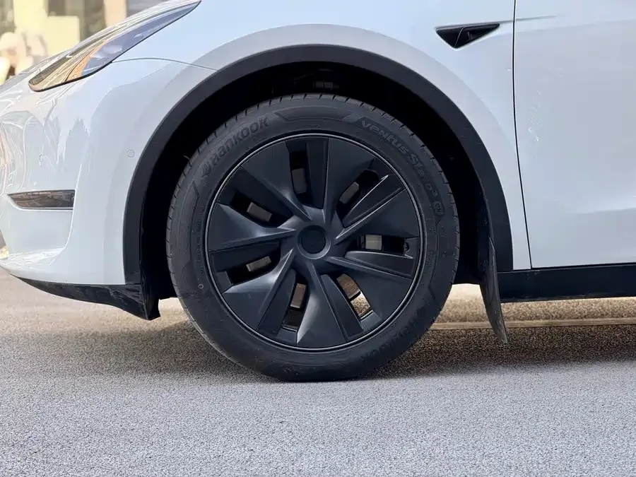 Tesla Model Y Model Y 2023 long-range all-wheel drive version 2024 — миниатюра 4