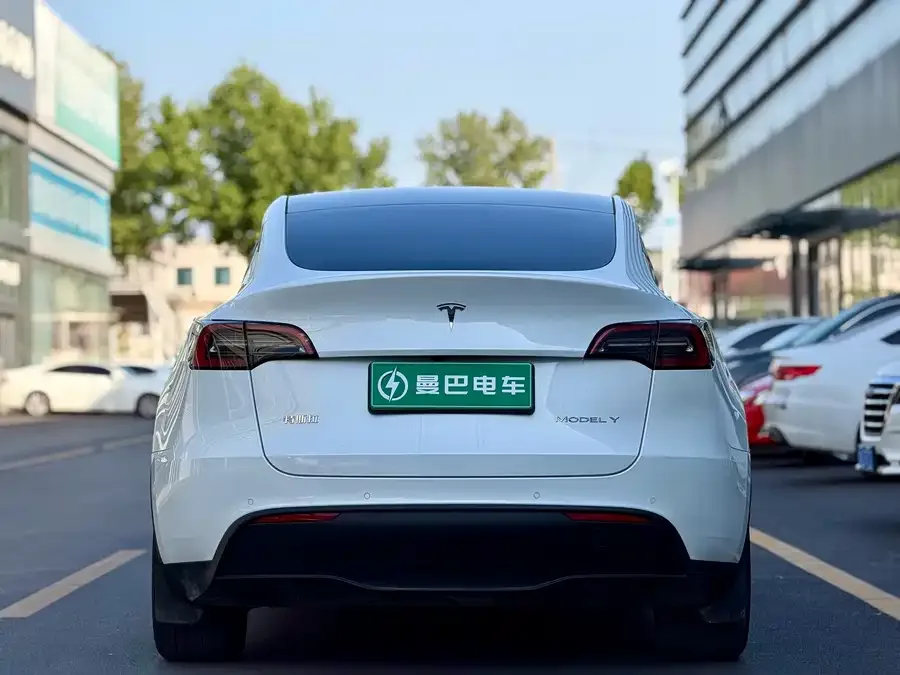 Tesla Model Y Model Y 2023 long-range all-wheel drive version 2024 — миниатюра 5