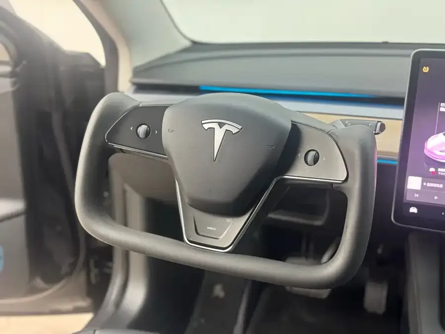 Tesla Model 3 Model 3 2022 rear-wheel drive version 2022 — миниатюра 2
