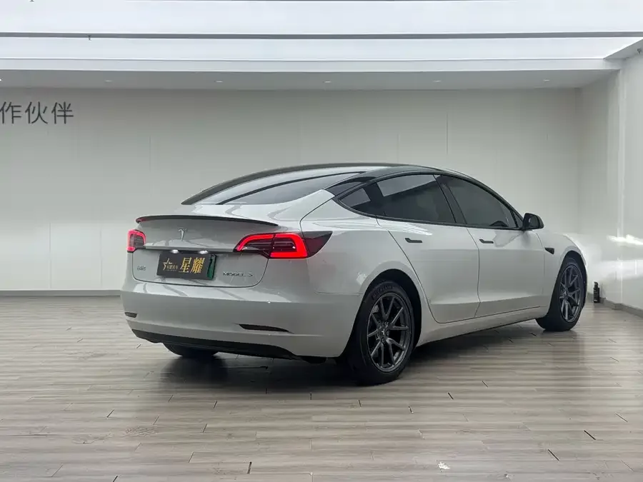 Tesla Model 3 Model 3 2022 rear-wheel drive version 2022 — миниатюра 4