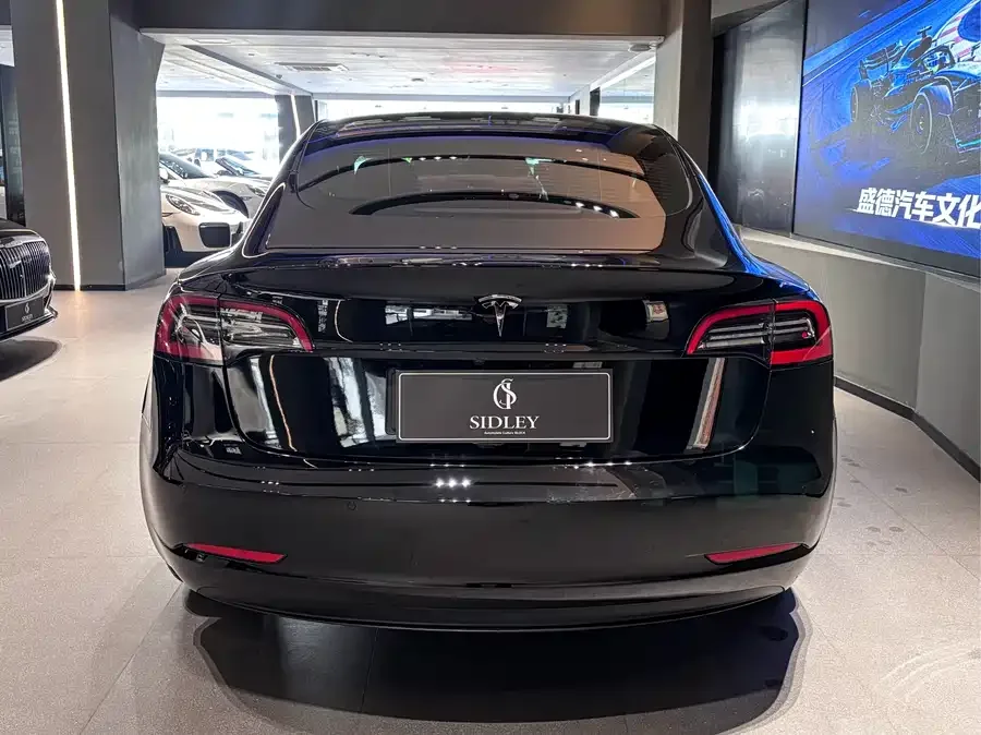 Tesla Model 3 Model 3 2021 standard range rear drive upgraded version 3D6 2022 — миниатюра 2