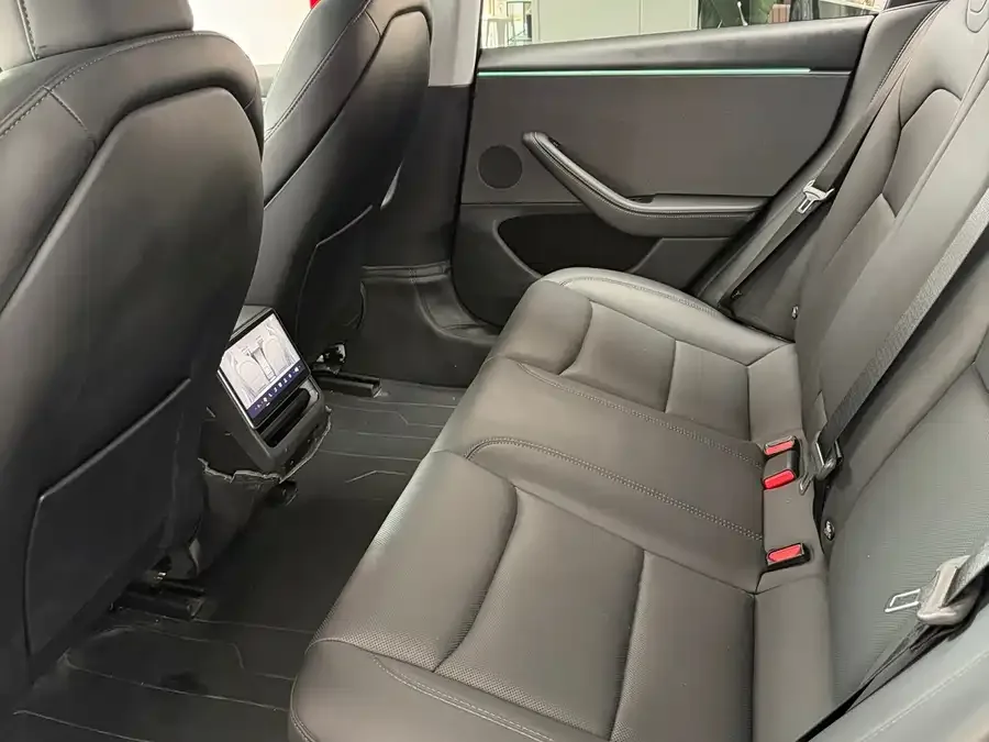 Tesla Model 3 Model 3 2025 rear-wheel drive version 2025 — миниатюра 3