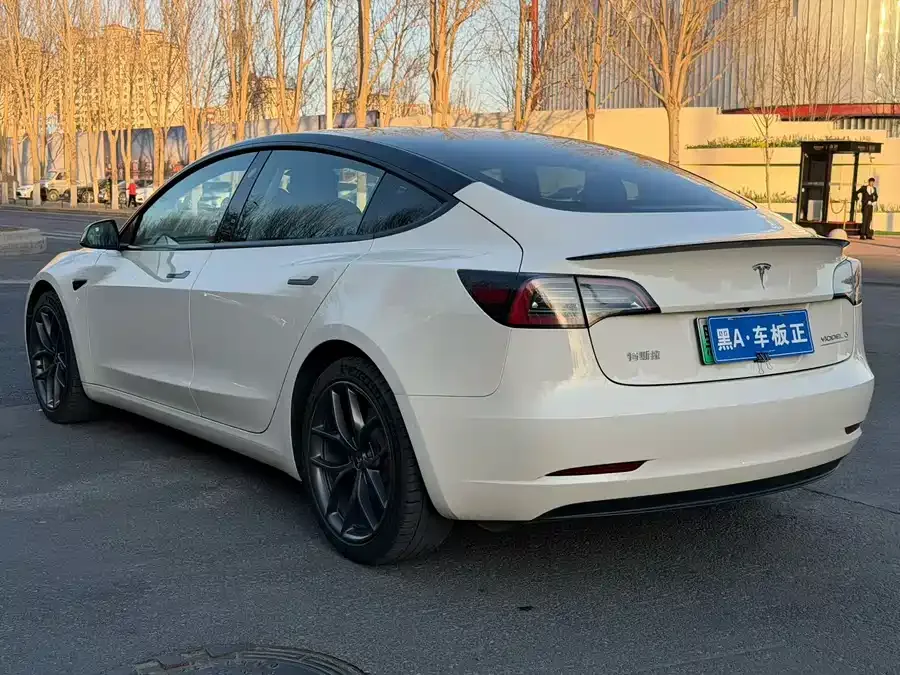 Tesla Model 3 Model 3 2022 Performance high-performance all-wheel drive version 2023 — миниатюра 3