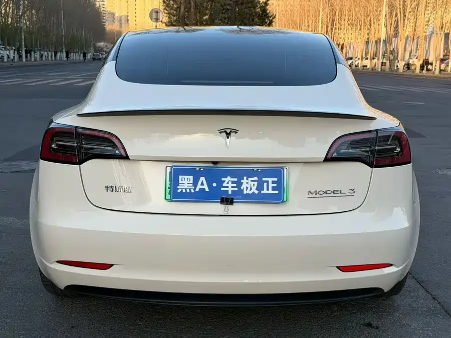 Tesla Model 3 Model 3 2022 Performance high-performance all-wheel drive version 2023 — миниатюра 5