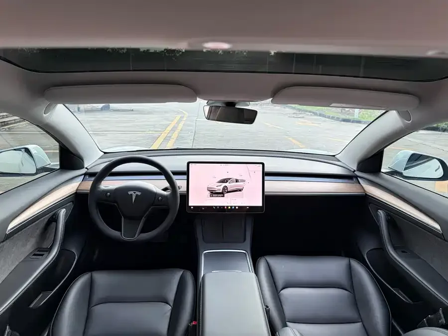 Tesla Model 3 Model 3 2022 rear-wheel drive version 2022 — миниатюра 2