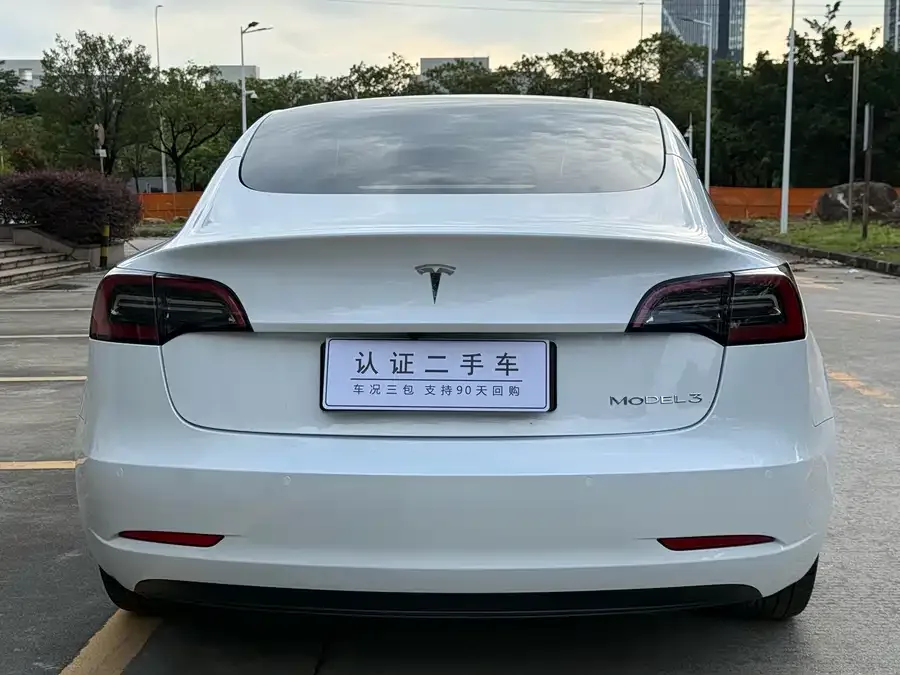 Tesla Model 3 Model 3 2022 rear-wheel drive version 2022 — миниатюра 3