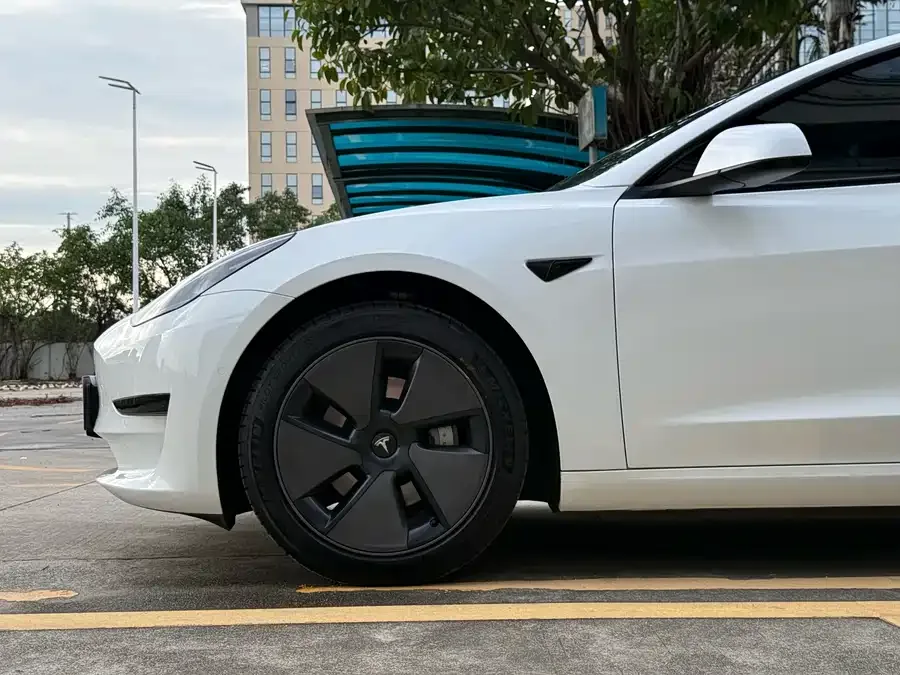 Tesla Model 3 Model 3 2022 rear-wheel drive version 2022 — миниатюра 4