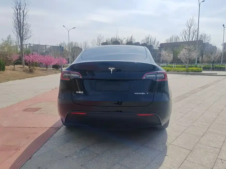 Tesla Model Y Model Y 2022 Long Range All-Wheel Drive Version 2022 — миниатюра 2