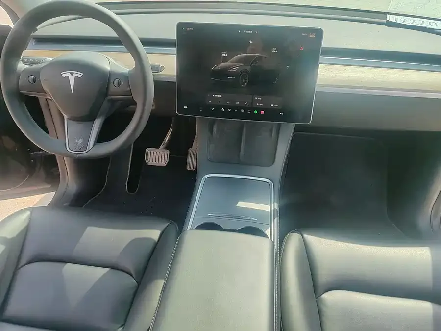 Tesla Model Y Model Y 2022 Long Range All-Wheel Drive Version 2022 — миниатюра 4