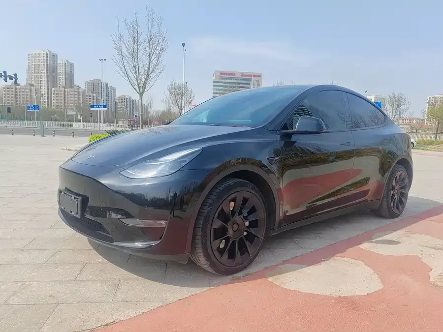 Tesla Model Y Model Y 2022 Long Range All-Wheel Drive Version 2022 — фото 1, купить с доставкой в Москву