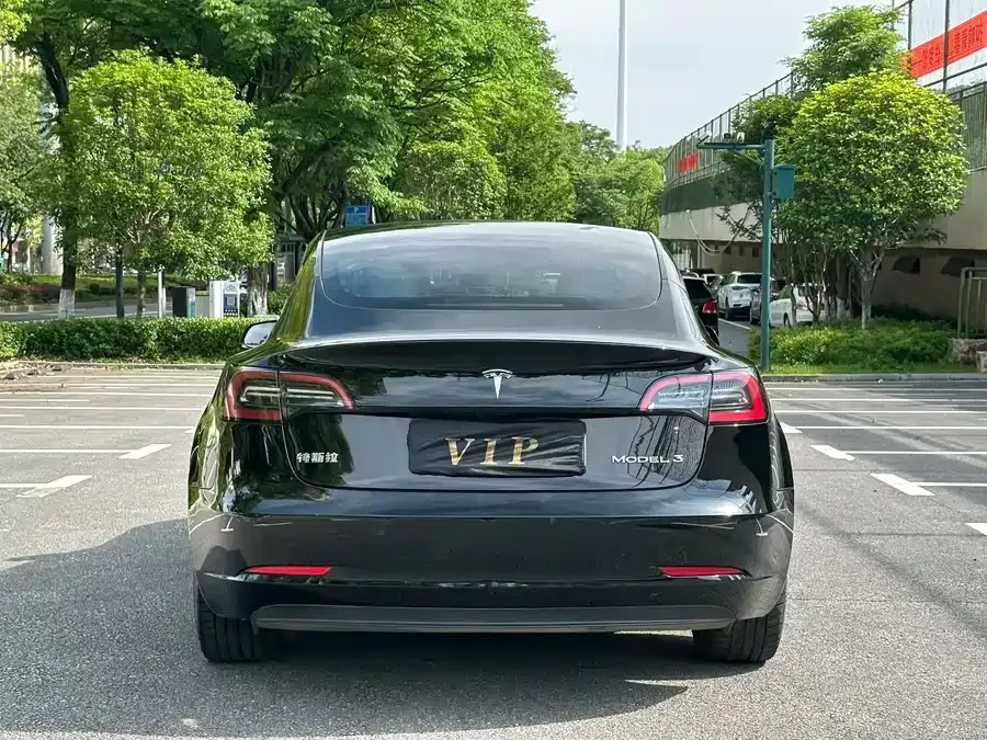 Tesla Model 3 Model 3 2022 rear-wheel drive version 2022 — миниатюра 5
