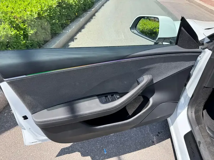 Tesla Model 3 Model 3 2025 rear-wheel drive version 2025 — миниатюра 2