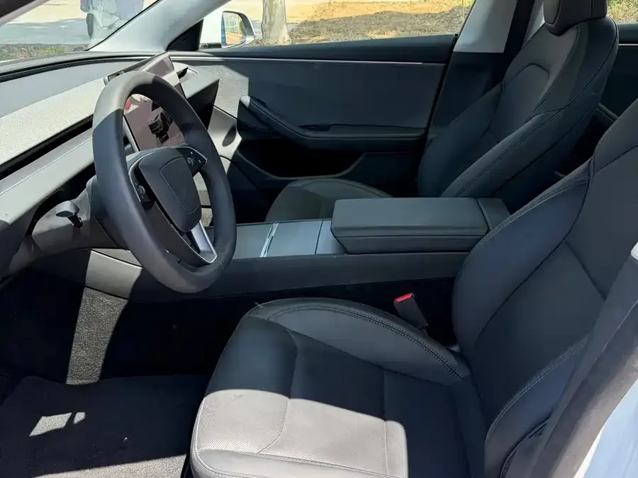 Tesla Model 3 Model 3 2025 rear-wheel drive version 2025 — миниатюра 4
