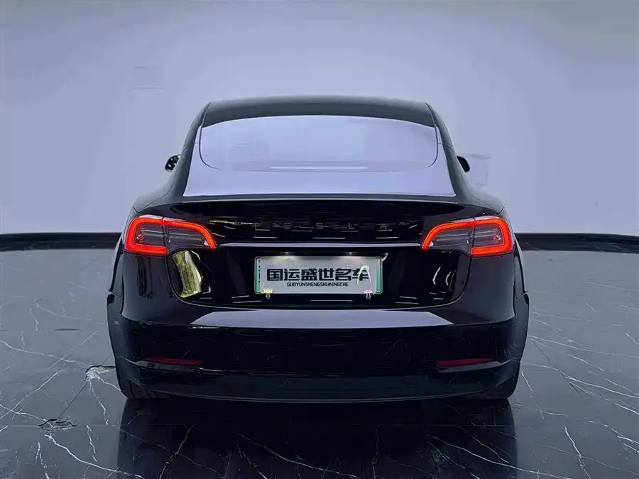 Tesla Model 3 Model 3 2022 rear-wheel drive version 2022 — миниатюра 2