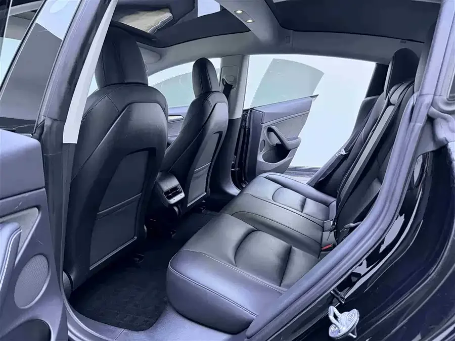 Tesla Model 3 Model 3 2022 rear-wheel drive version 2022 — миниатюра 3