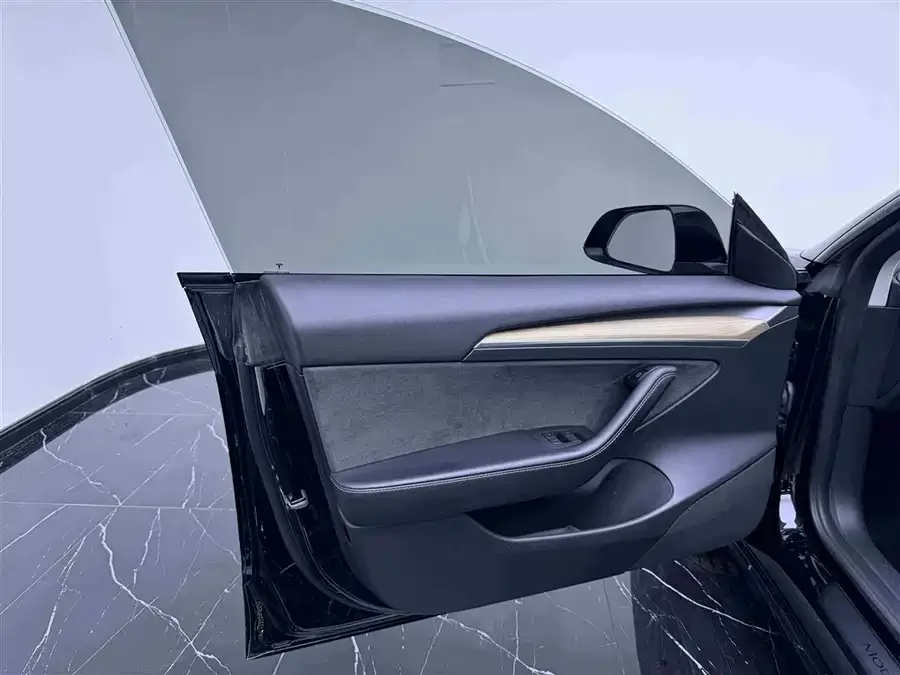 Tesla Model 3 Model 3 2022 rear-wheel drive version 2022 — миниатюра 5