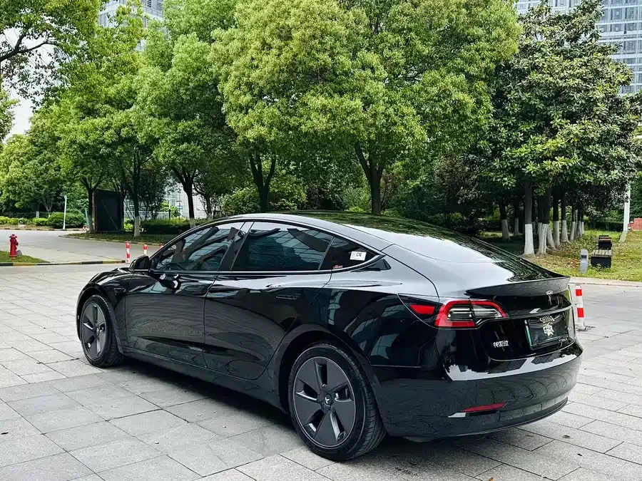 Tesla Model 3 Model 3 2022 rear-wheel drive version 2023 — миниатюра 2