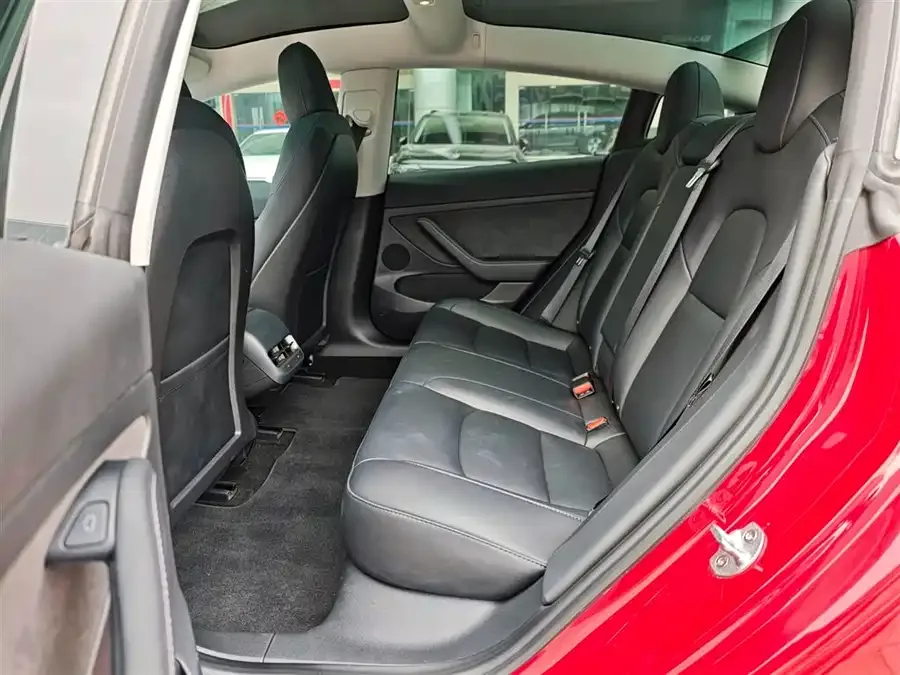 Tesla Model 3 Model 3 2022 rear-wheel drive version 2022 — миниатюра 3