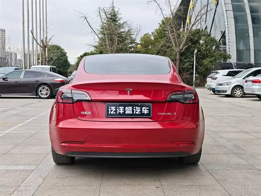 Tesla Model 3 Model 3 2022 rear-wheel drive version 2022 — миниатюра 5