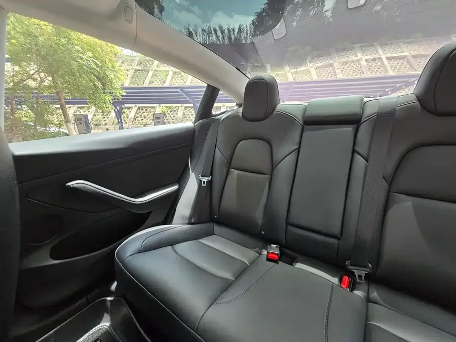 Tesla Model 3 Model 3 2022 rear-wheel drive version 2023 — миниатюра 4
