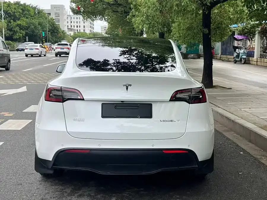 Tesla Model Y Model Y 2022 facelift rear-wheel drive version 2022 — миниатюра 5