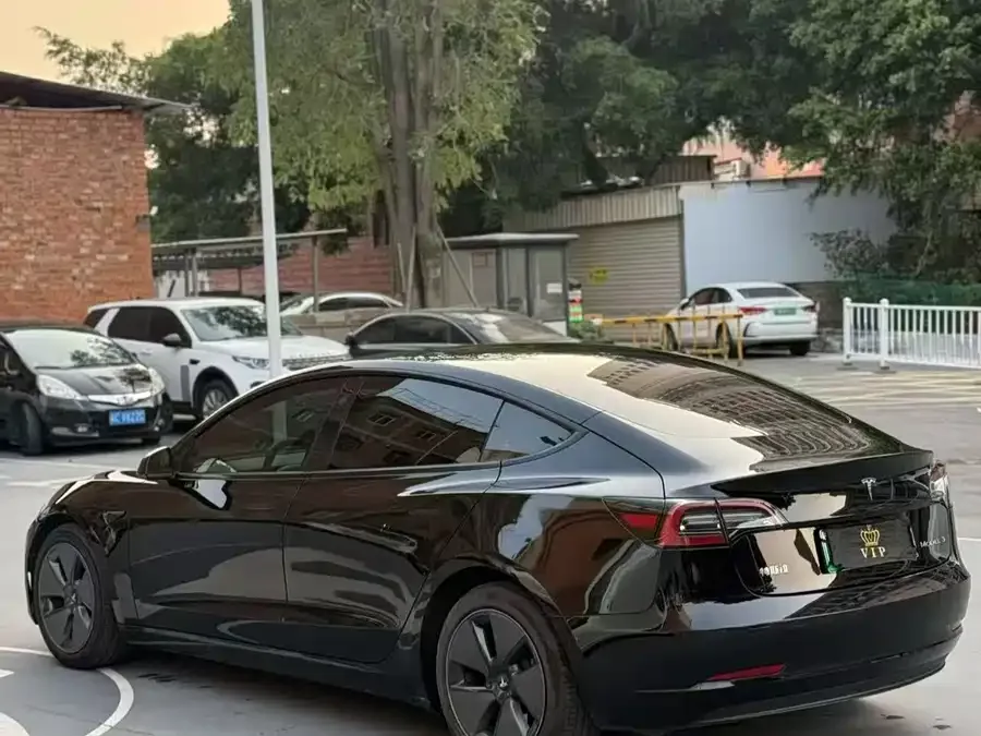 Tesla Model 3 Model 3 2022 rear-wheel drive version 2022 — миниатюра 3