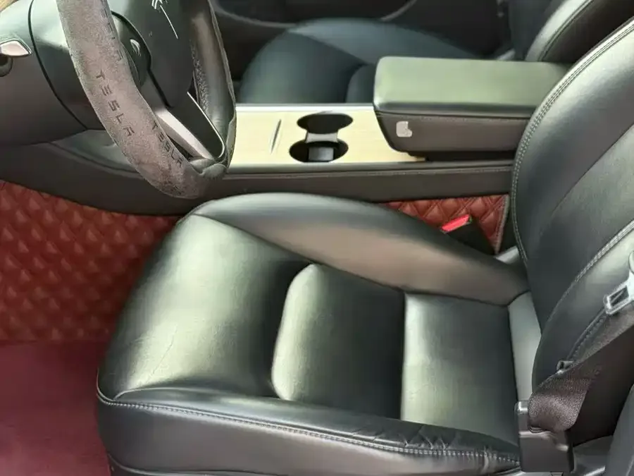 Tesla Model 3 Model 3 2022 rear-wheel drive version 2022 — миниатюра 4