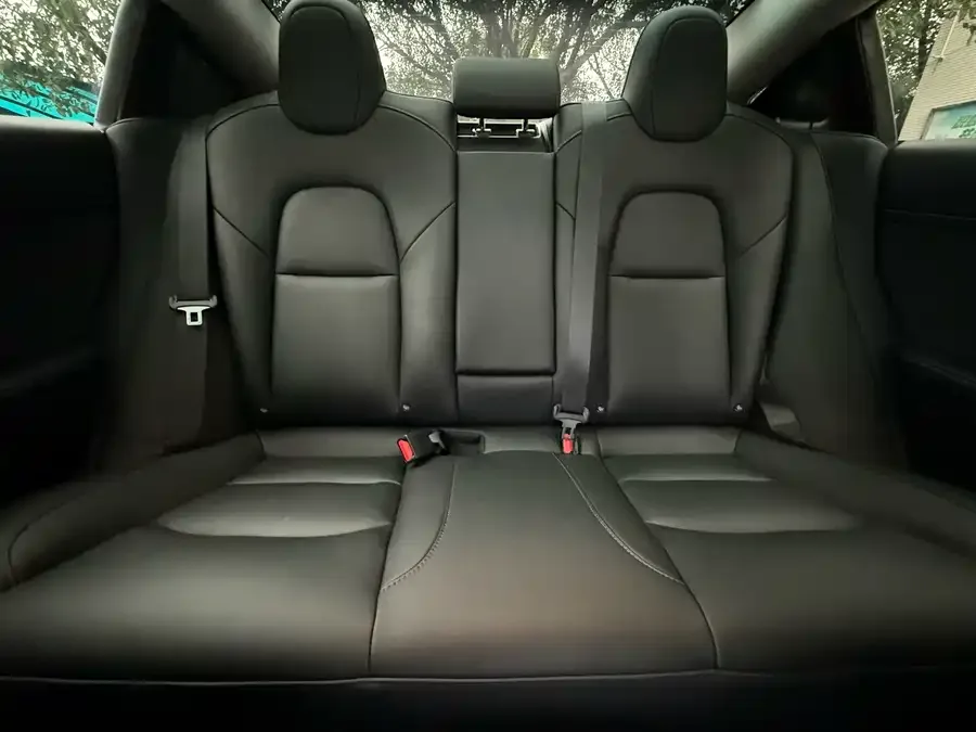 Tesla Model 3 Model 3 2022 rear-wheel drive version 2023 — миниатюра 3